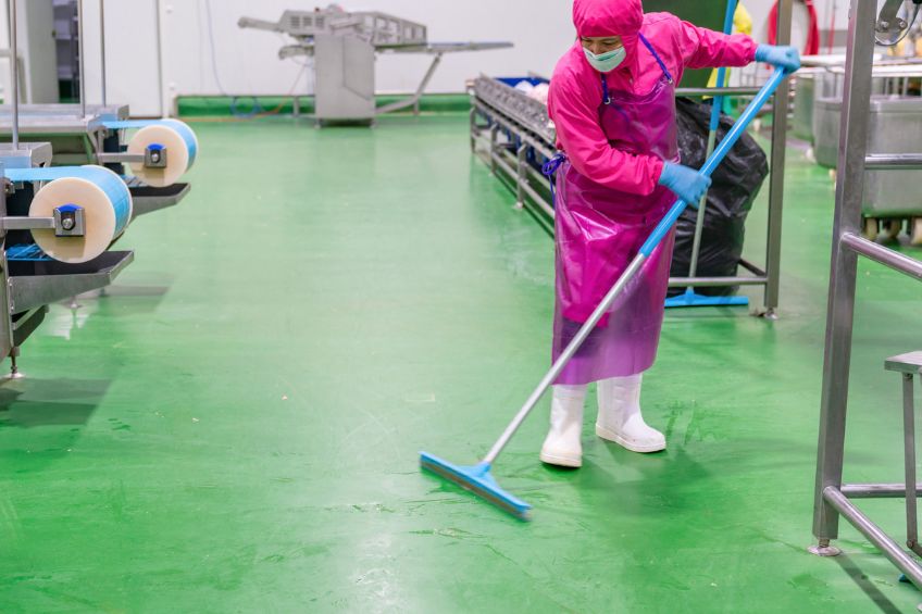 Sanitation Meets Strategy: Why Smart Cleaning Schedules Boost Efficiency in Processing Plants