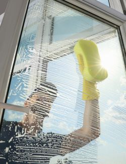 Window And Wall Cleaning Services